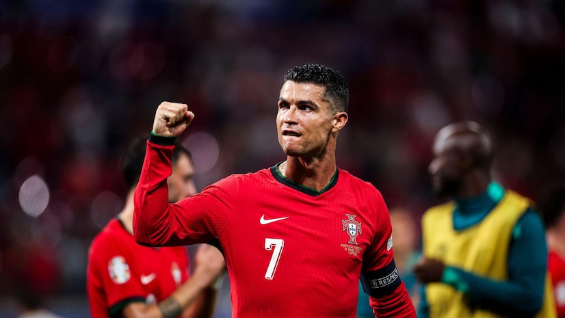 的鱼类和植 的鱼类和植